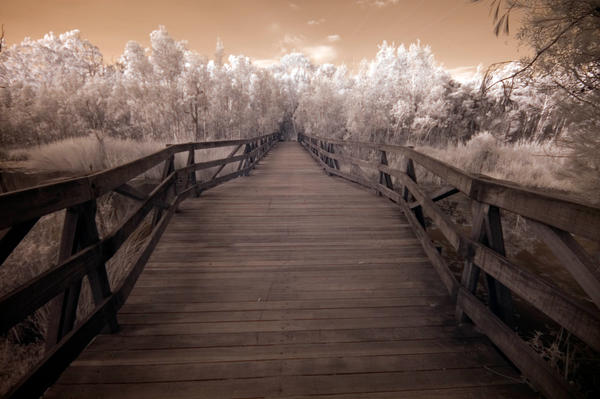 957 by stockII 20 Stunning Infrared Pictures 